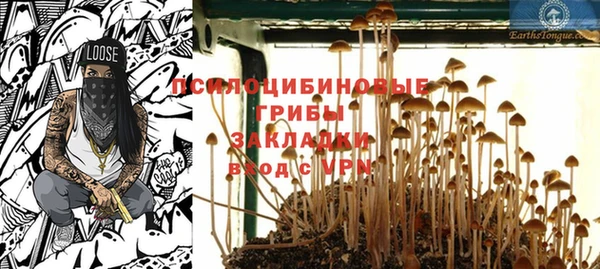 прущие крисы Белоозёрский
