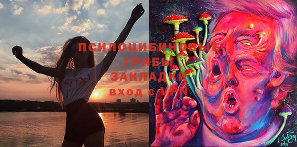 молекула духа Россошь