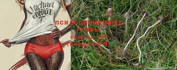 прущие крисы Белоозёрский