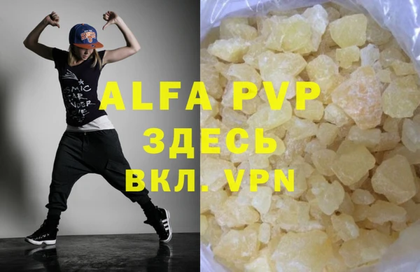 прущие грибы Белокуриха